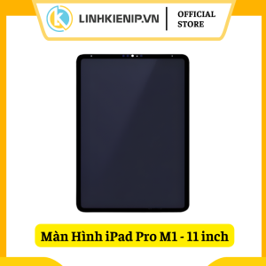 Màn Hình iPad Pro 11 inch M1