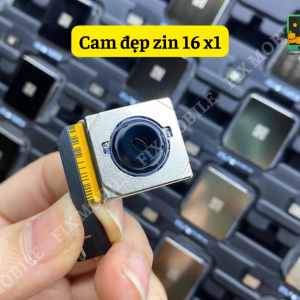 Camera sau x1 iPhone 16
