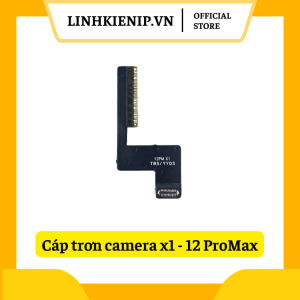 Cáp Hàn Camera Sau Trơn iPhone 12 Pro Max| ProMax