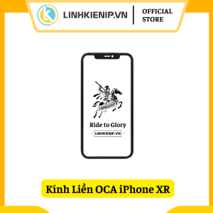 Kính Liền OCA iPhone XR